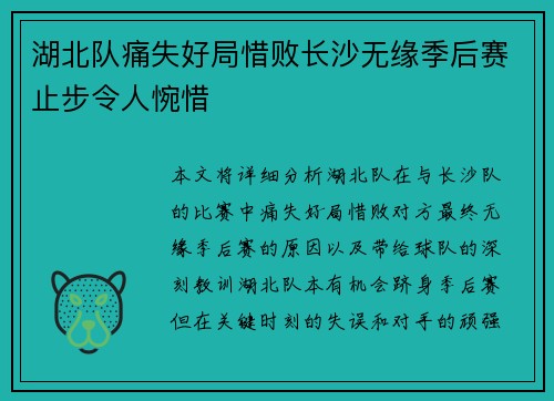 湖北队痛失好局惜败长沙无缘季后赛止步令人惋惜